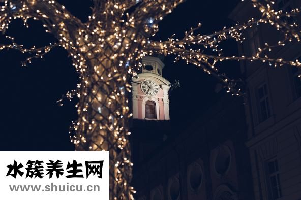 剩壽司怎么加熱