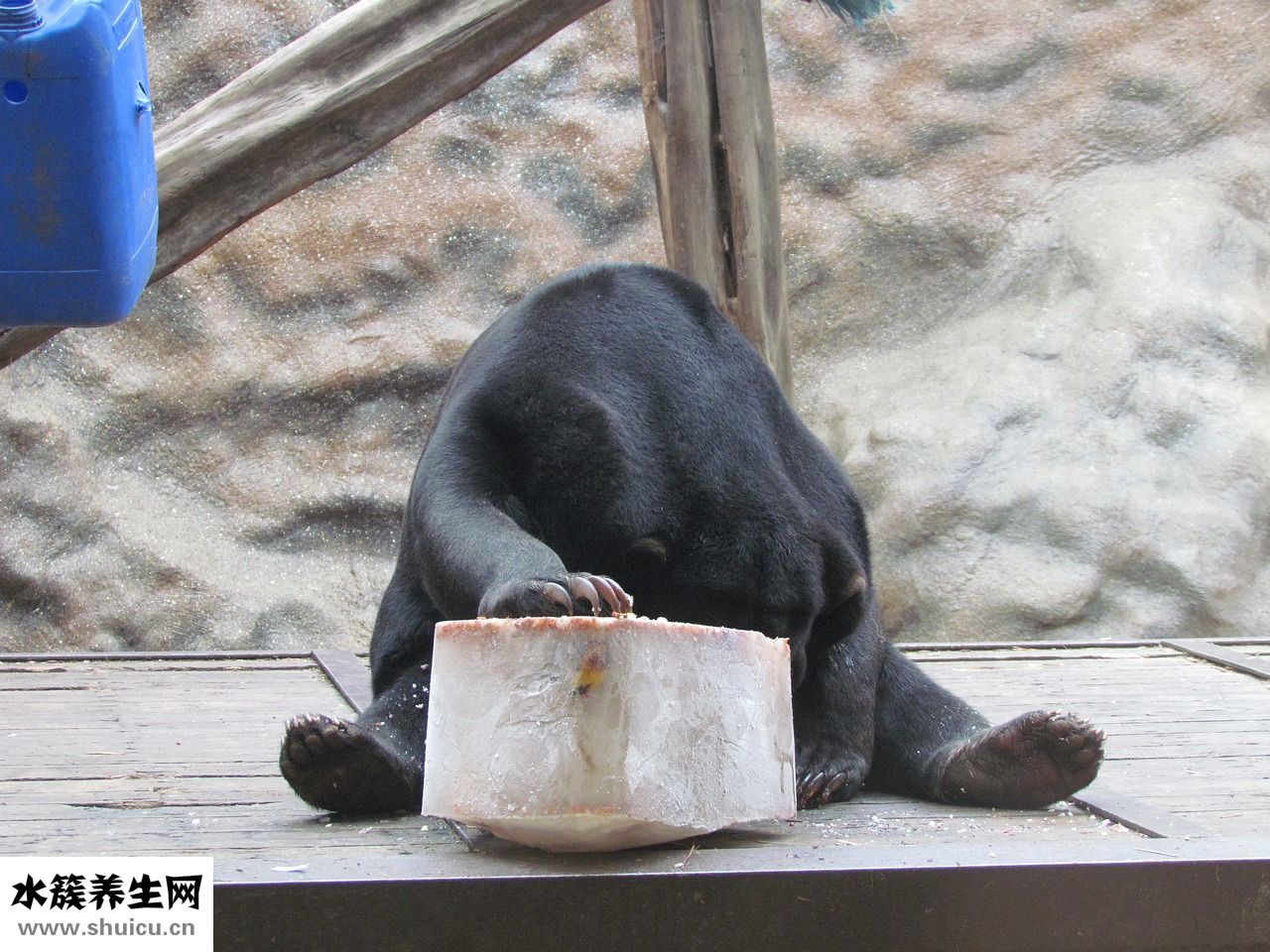 新生兒吃撐了怎么辦