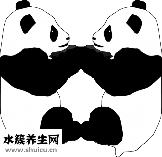 嬰兒肚圍怎么用