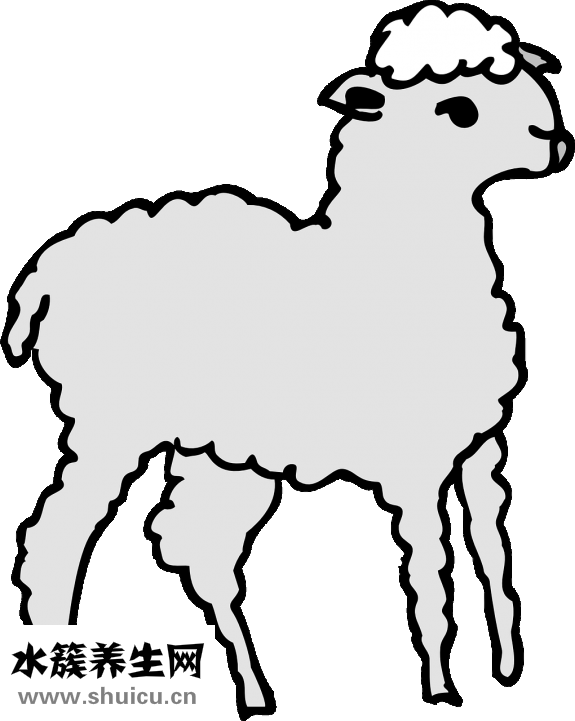 羊霖肉怎么吃好