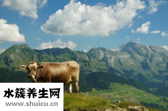 驅(qū)蟲(chóng)一粒清怎么吃