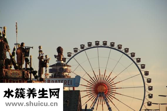 中年白發怎么治療