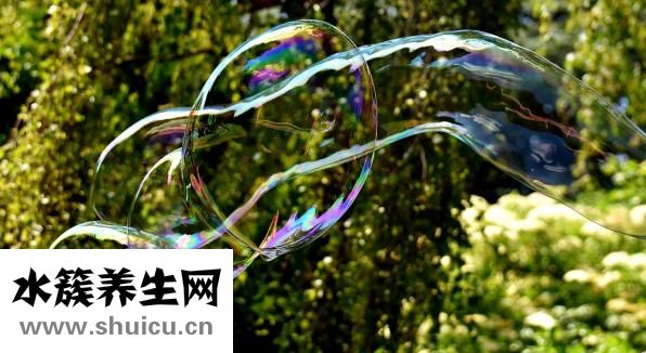 牛蒼蠅叮咬怎么處理