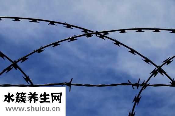 刮胡刀怎么清洗