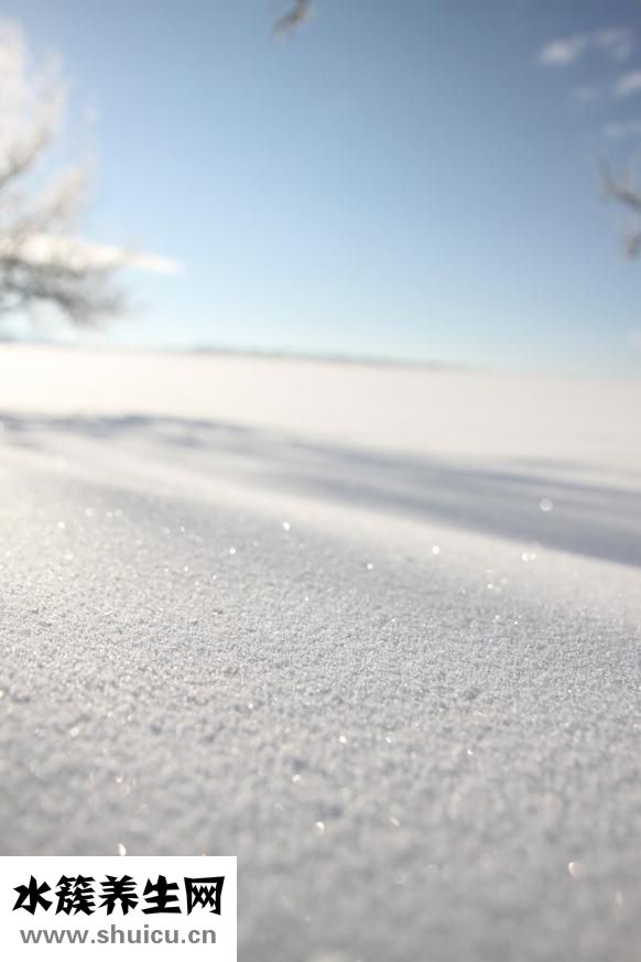 左太陽穴疼怎么辦