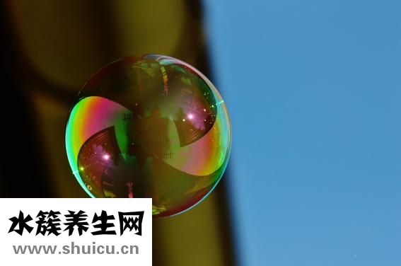 牛蒼蠅叮咬怎么處理