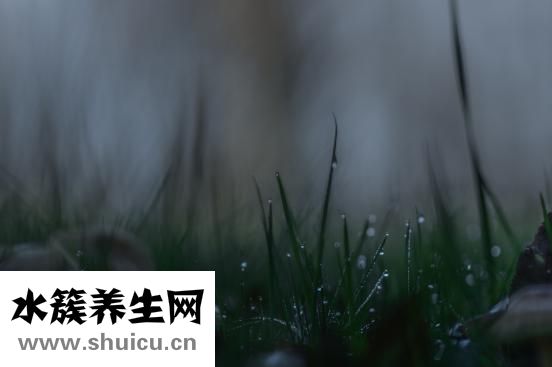 左太陽穴疼怎么辦