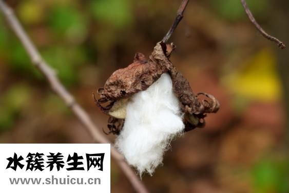 睫毛膏卸不掉怎么辦