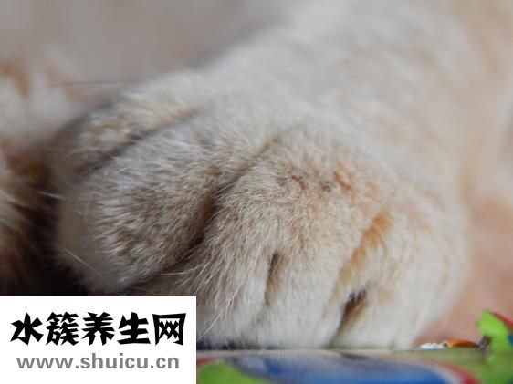 怎么才能永久性脫毛