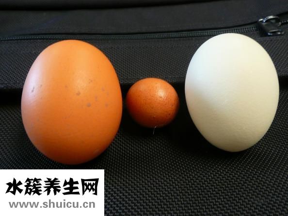 海鮮醬油怎么調(diào)