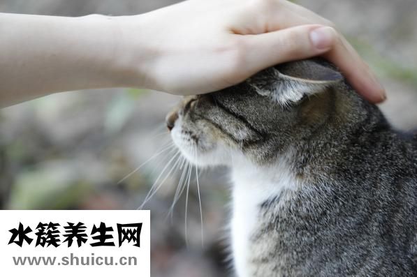 驅(qū)蟲(chóng)一粒清怎么吃