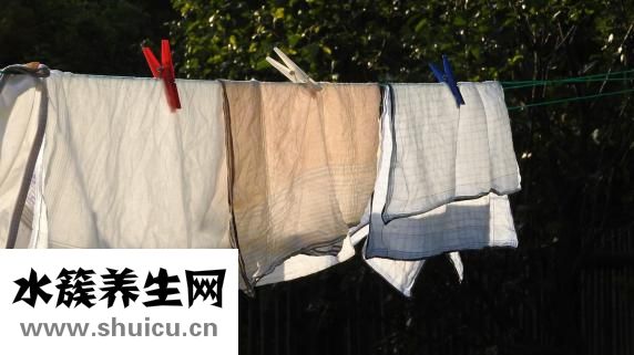 貴賓犬有跳蚤怎么辦