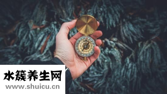 花蛤怎么保存過夜