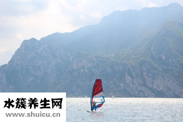 怎么訓練狗狗提籃子