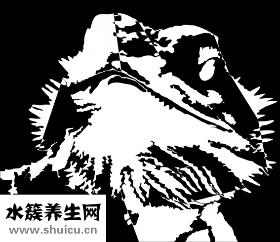 怎么看男寶還是女寶