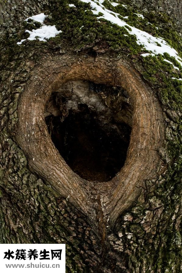 嬰兒苔癬怎么辦