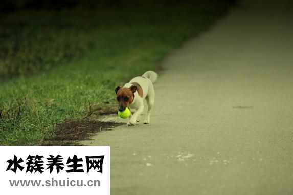 怎么和男朋友做