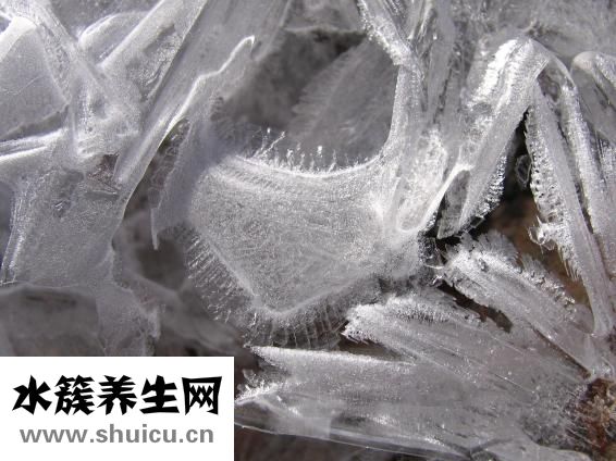 鹽怎么結(jié)晶