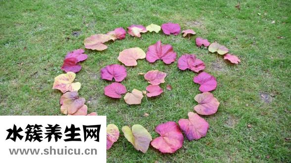 補差價怎么計算