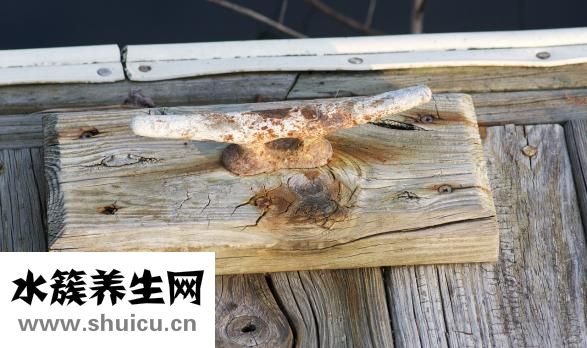 怎么消滅夾板蟲