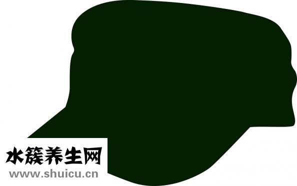 肺子不好怎么調(diào)理