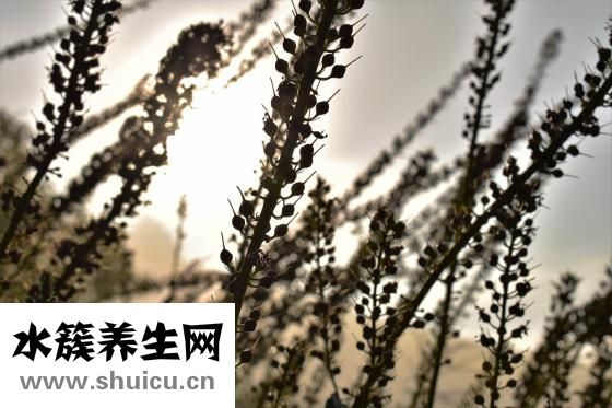 人怎么修煉成魔