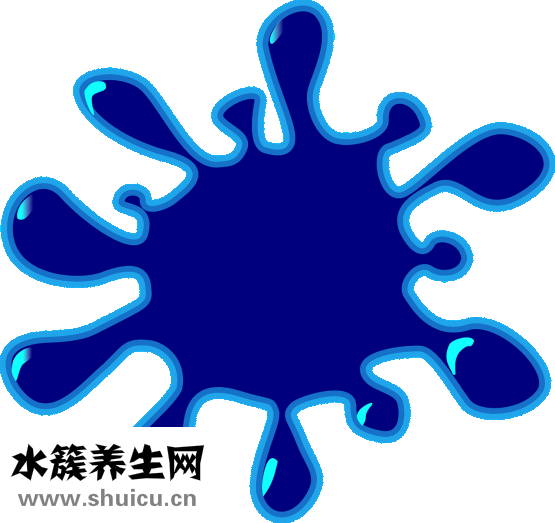 一字拖用英語怎么說