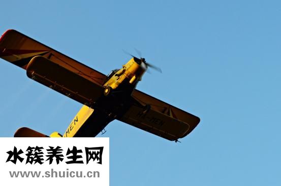 廚房發(fā)現(xiàn)蟑螂怎么辦