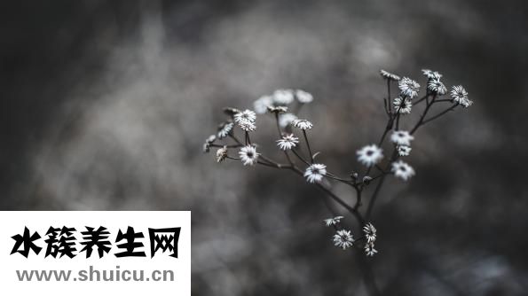 人怎么修煉成魔