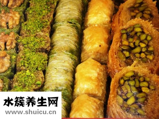 瓜子松怎么養(yǎng)