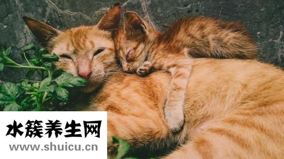 產婦嘴唇起皮怎么辦