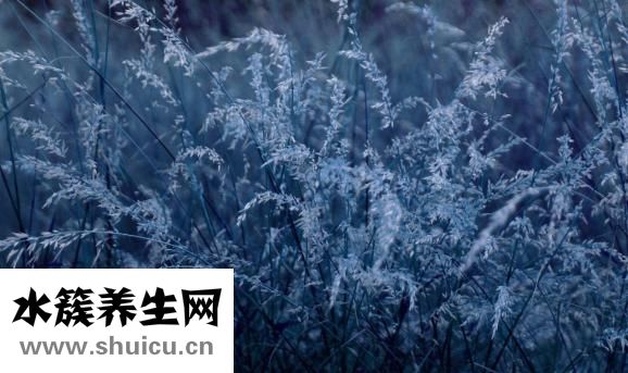 三星手機怎么打加號