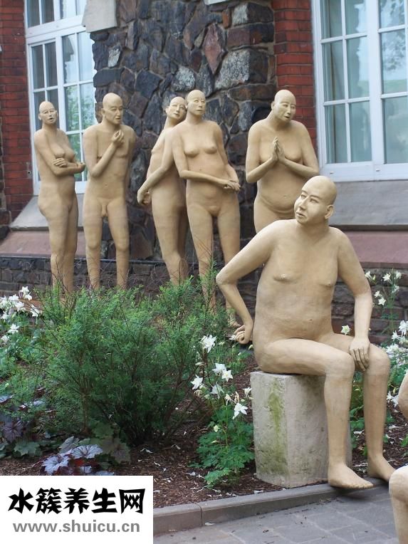 不不丁野菜怎么吃法