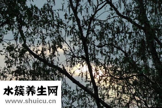 兒童老打嗝怎么辦