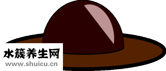 冬天頭皮癢怎么回事