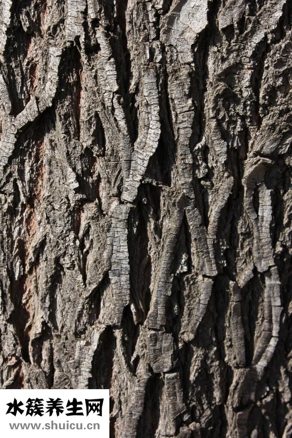 產婦嘴唇起皮怎么辦