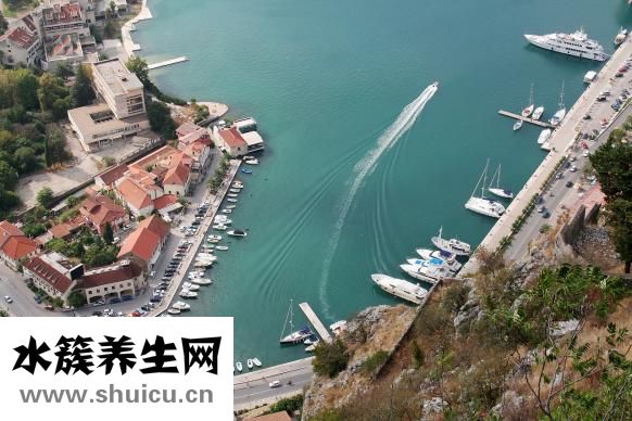 九爾口爽怎么使用