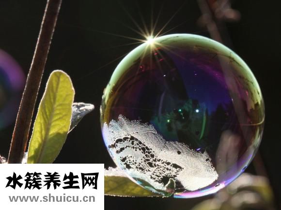 初學者怎么練倒立