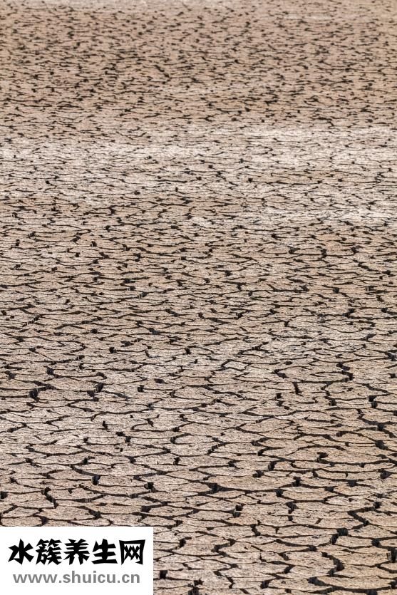 太極推手怎么練