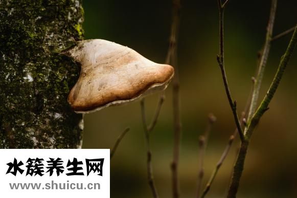 孕婦得腳氣怎么回事