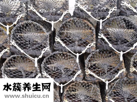 圓頂蚊帳怎么折疊