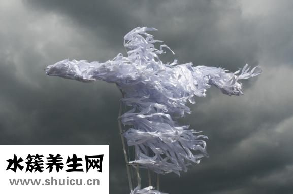 不愛(ài)懷孕怎么辦