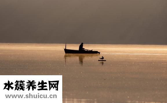 不愛(ài)懷孕怎么辦