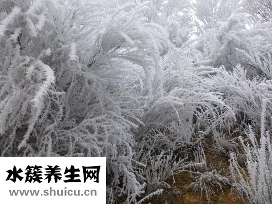 凝膠足套怎么洗