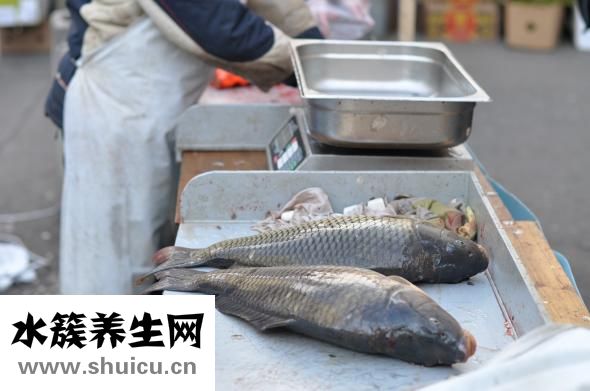 做魚湯怎么做