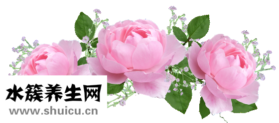 六神花露水怎么打開(kāi)