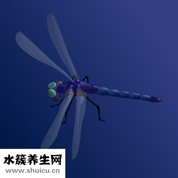 蚊子塊怎么止癢