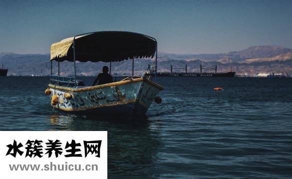 石刁柏怎么處理