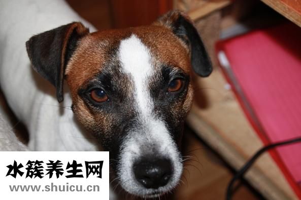 走頭無路怎么辦