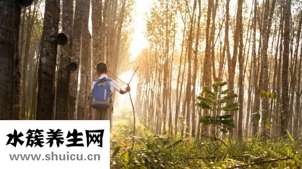 身邊小人太多怎么辦